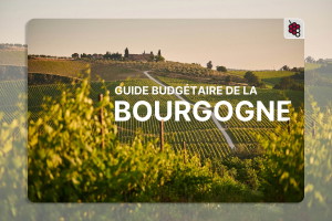 Guide de la Bourgogne pour les petits budgets : comment trouver des vins d'un bon rapport qualité-prix