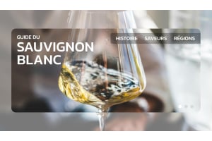 Percer les secrets du Sauvignon Blanc : le guide ultime de ce vin emblématique