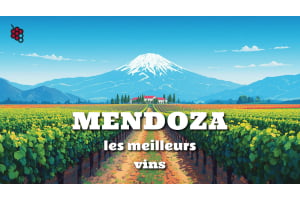 Guide des meilleurs vins de Mendoza, en Argentine