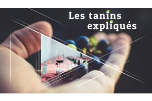 Les tanins expliqués : Comment ils affectent votre vin 