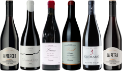 Coffret Dégustation Premium Mencia