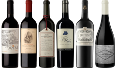 Coffret Dégustation Premium Malbec Argentin
