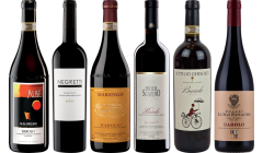 Coffret Dégustation Barolo de Grande Valeur