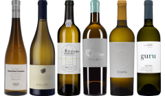Coffret Dégustation Premium Vin Blanc Portugais