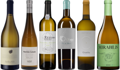 Coffret Dégustation Premium Vin Blanc Portugais