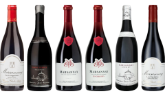 Caisse de dégustation Premium Marsannay