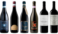 Caisse de dégustation premium de Montepulciano d'Abruzzo