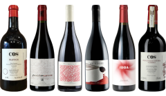 Caisse de dégustation de vin rouge premium de Sicile