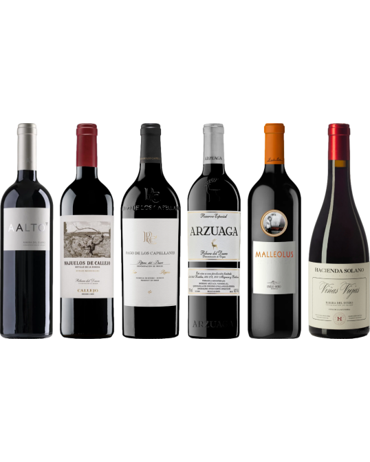 Caisse de dégustation premium Ribera del Duero