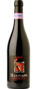 Pasetti Harimann Montepulciano d'Abruzzo 2012 (En rupture de stock)