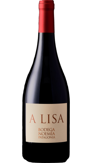 Bottle of Bodega Noemia A Lisa 2018 wine 750 ml