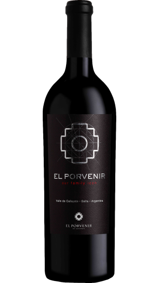 Bottle of El Porvenir de Cafayate Icono 2018 wine 750 ml