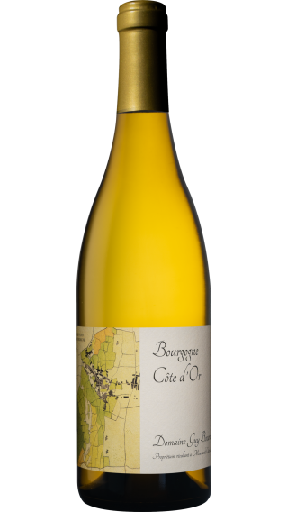 Bottle of Guy Bocard Bourgogne Cote d'Or 2022 wine 750 ml