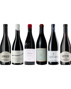 Coffret Dégustation Premium Mencia