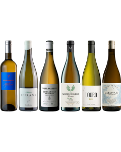 Coffret Dégustation Premium Vin Blanc Espagnol