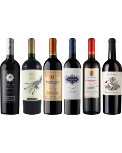 Coffret Dégustation Carmenere