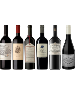 Coffret Dégustation Premium Malbec Argentin