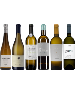 Coffret Dégustation Premium Vin Blanc Portugais