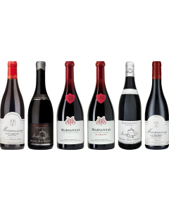 Caisse de dégustation Premium Marsannay