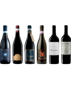 Caisse de dégustation premium de Montepulciano d'Abruzzo