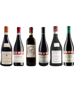 Coffret Dégustation Premium Piemonte Gattinara