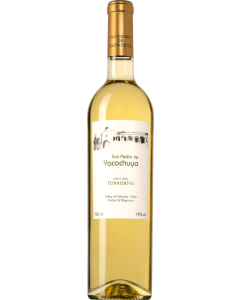 San Pedro de Yacochuya Torrontes 2024