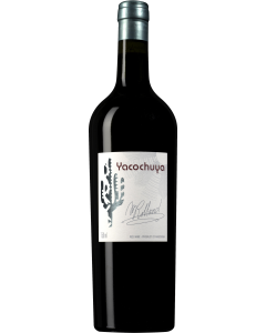 San Pedro de Yacochuya Yacochuya 2019
