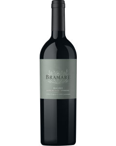 Vina Cobos Bramare Lujan de Cuyo Malbec 2022