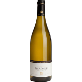 Domaine Alain Chavy Bourgogne Chardonnay 2022