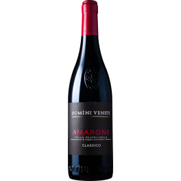 Domini Veneti Amarone della Valpolicella Classico 2021