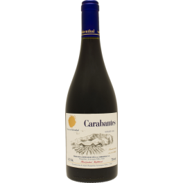 Vina von Siebenthal Carabantes Syrah 2020