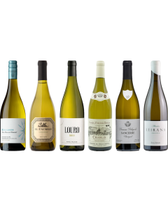 8Wines Sélection du personnel Cas de dégustation de vin blanc