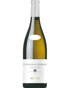 Clement & Florian Berthier Coteaux du Giennois Blanc 2023