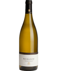 Domaine Alain Chavy Bourgogne Chardonnay 2022