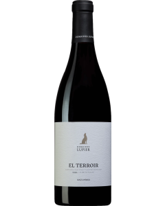 Domaines Lupier Raul Perez El Terroir 2019