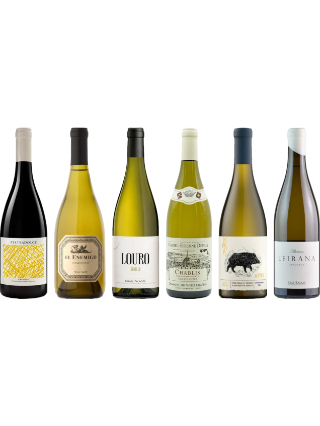 8Wines Sélection du personnel Cas de dégustation de vin blanc