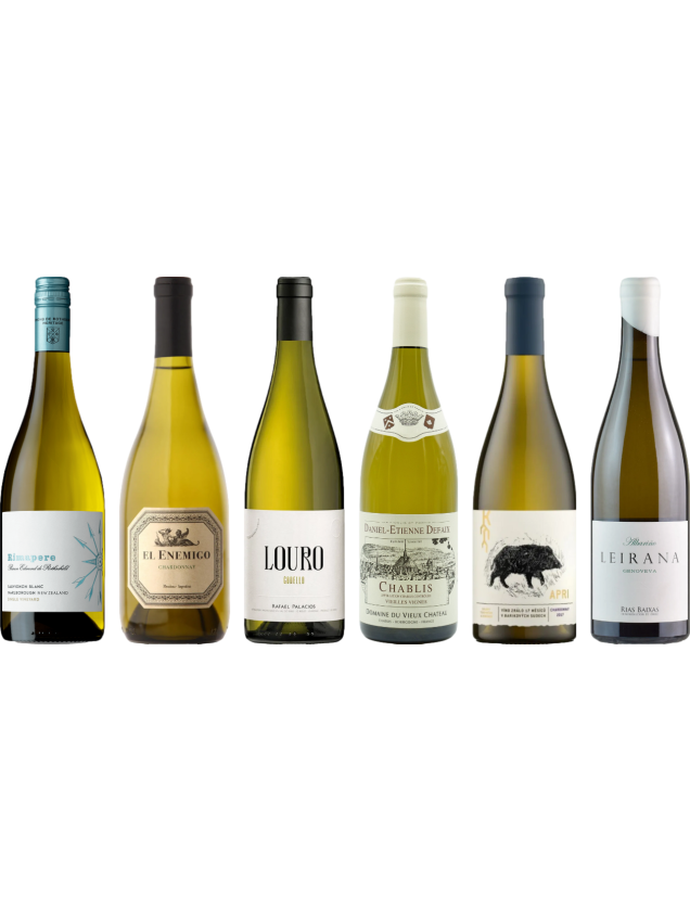 8Wines Sélection du personnel Cas de dégustation de vin blanc