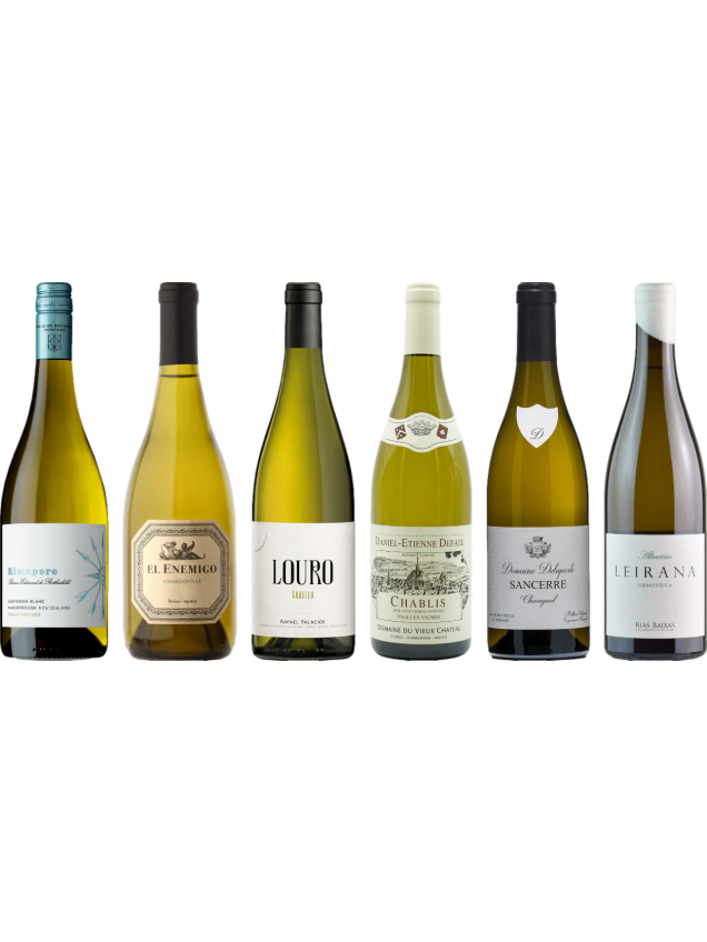 8Wines Sélection du personnel Cas de dégustation de vin blanc