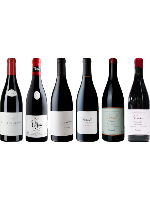 Caisse de dégustation premium Bierzo et Galicia Mencia