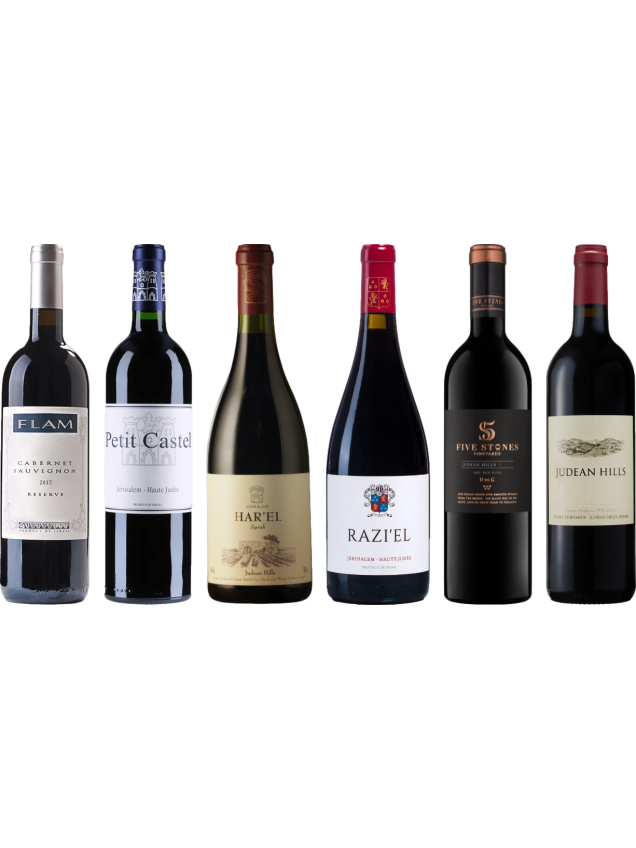 Caisse de dégustation de vin rouge d'Israël Premium