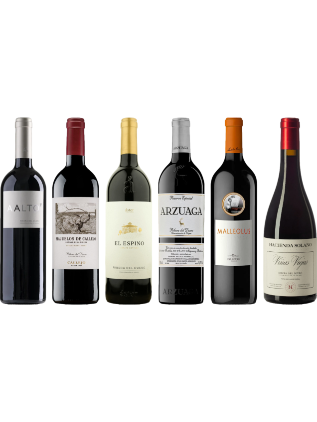 Caisse de dégustation premium Ribera del Duero