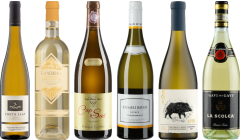 8Wines Sélection du personnel Cas de dégustation de vin blanc