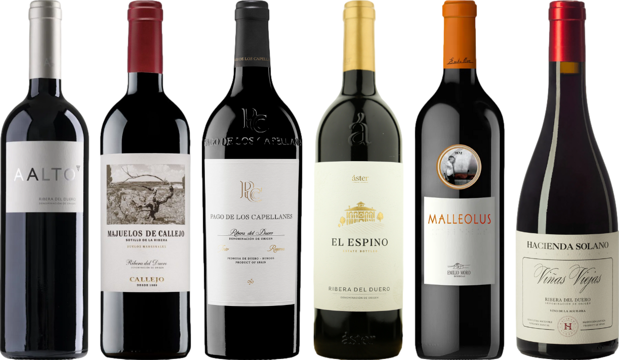 Caisse de dégustation premium Ribera del Duero