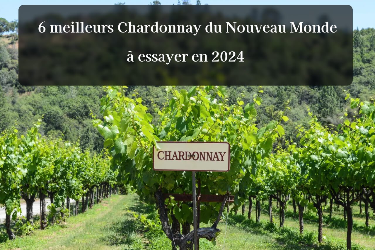 6 meilleurs Chardonnay du Nouveau Monde à essayer en 2024