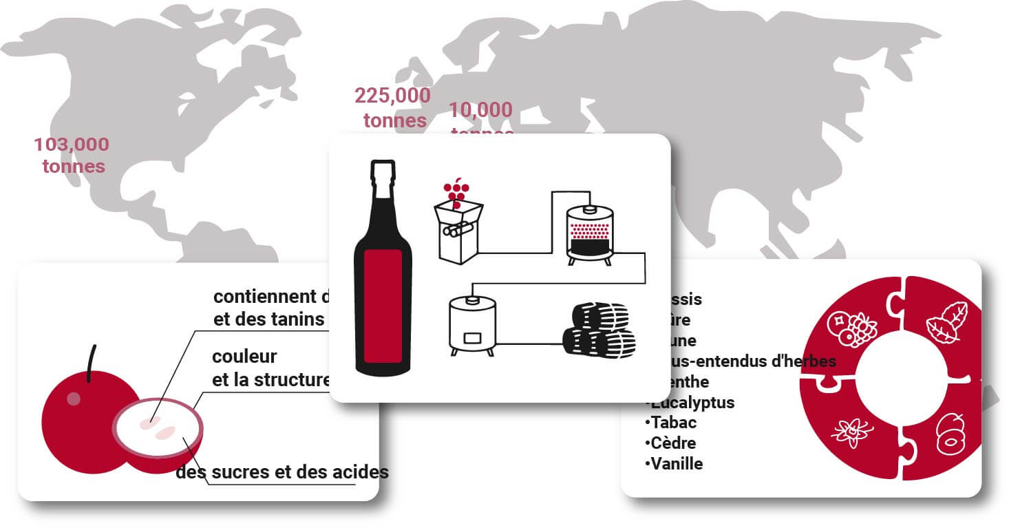 Guide du Cabernet Sauvignon Le tour du monde en 2024