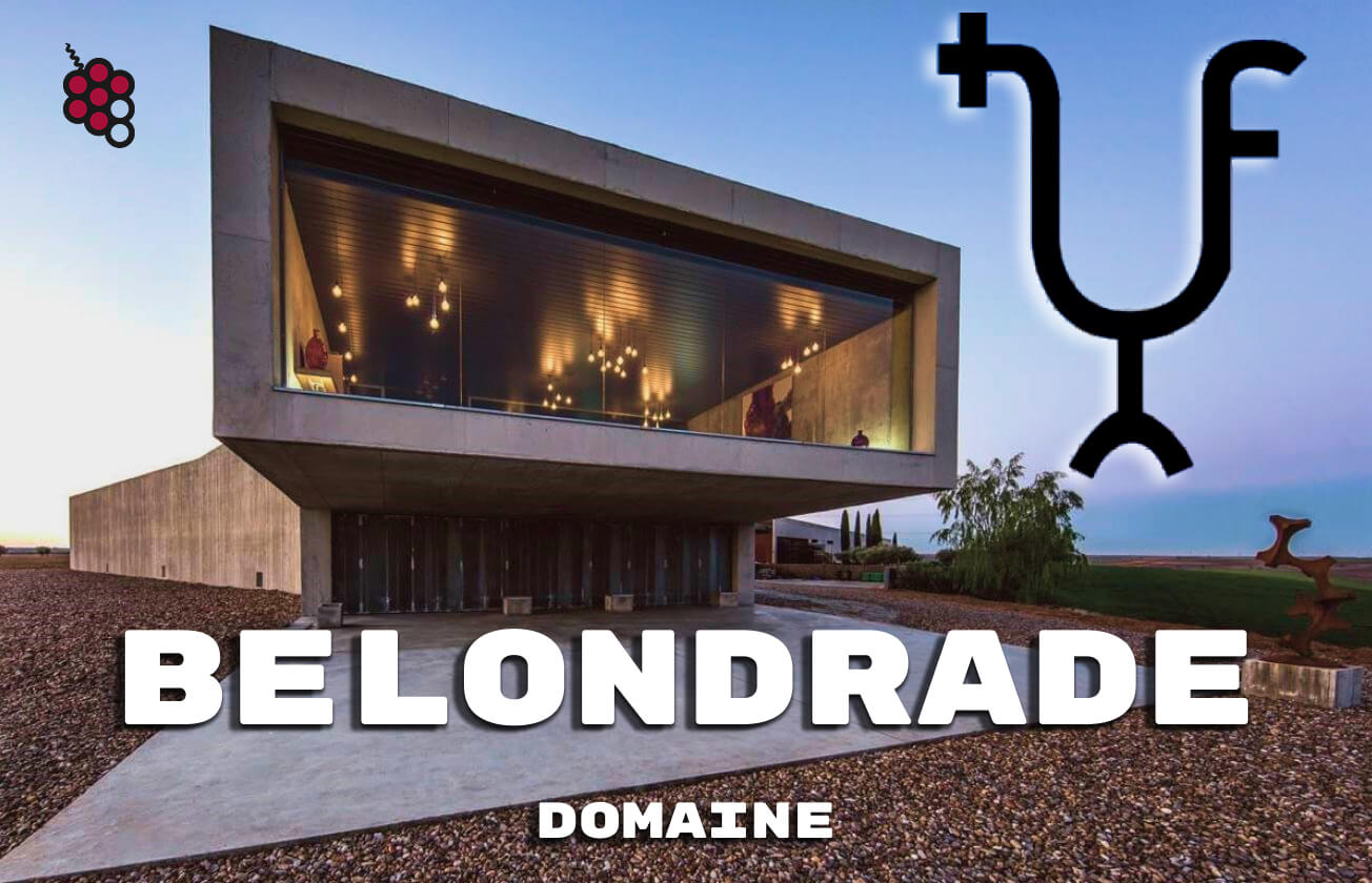 Légendes du Verdejo : Guide de la cave Belondrade