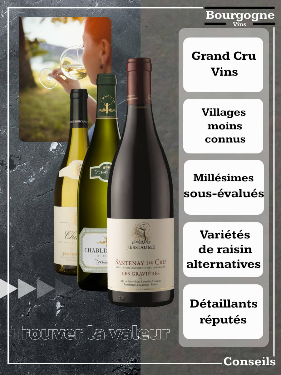 Bourgogne Vins