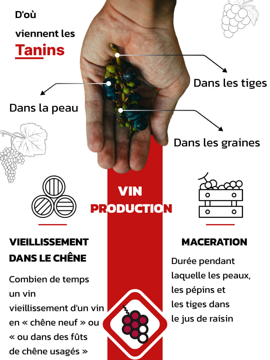 D'où viennent les tanins