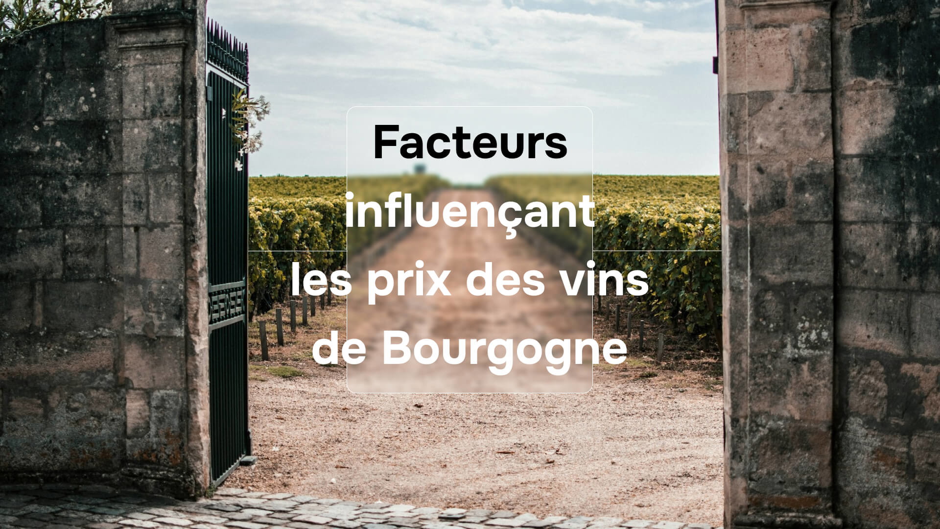 Facteurs influençant les prix des vins de Bourgogne