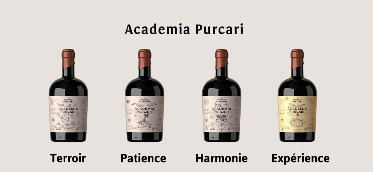 Academia Purcary